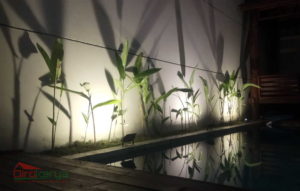 kolam renang di lahan terbatas